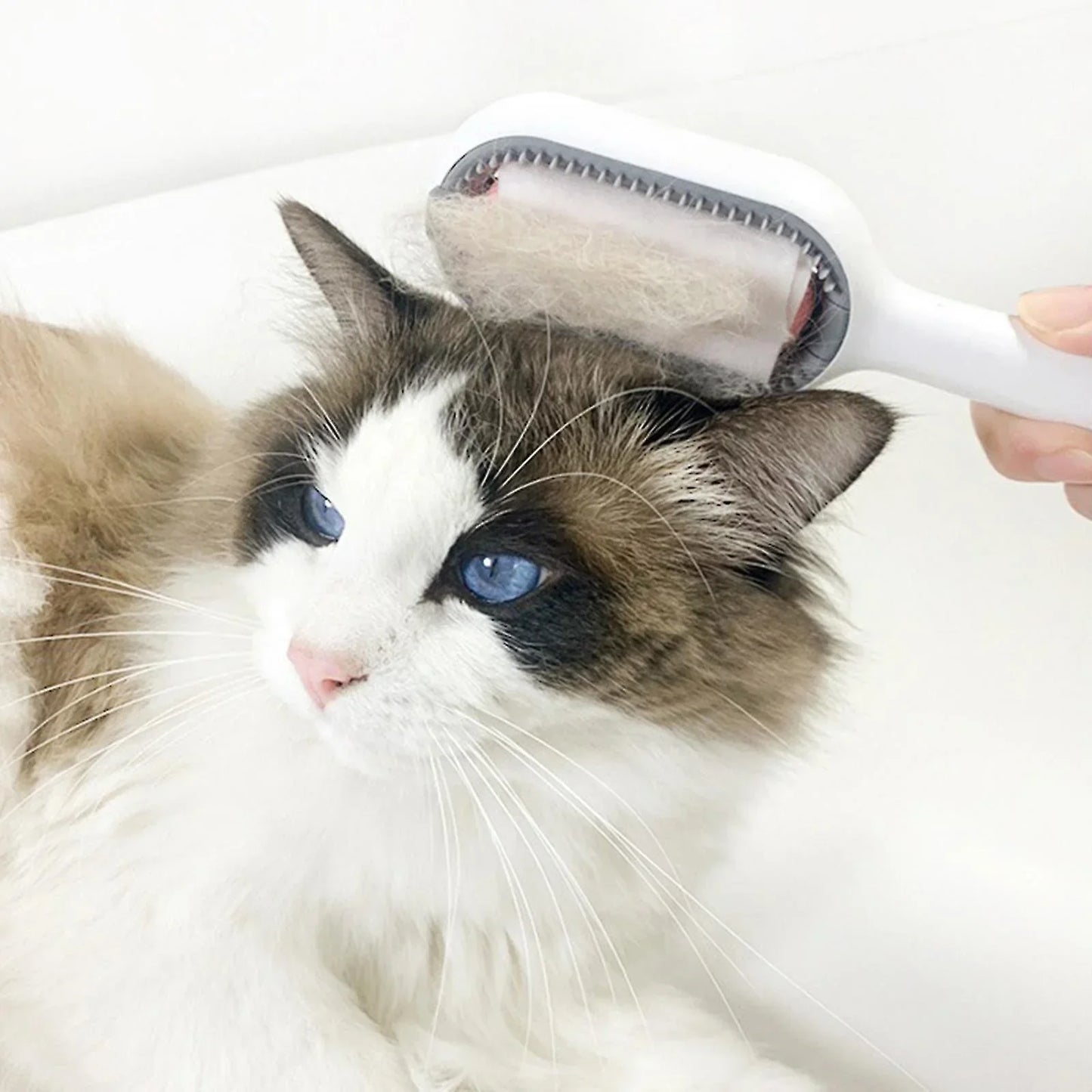 Sticky Brush Cat Dogs Comb Grooming And Care For Pet Multifunctional